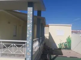 Villa daisy