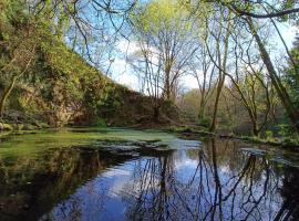 Viesnīca Stream-side cabin and sauna pilsētā Ballyduff