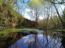 Stream-side cabin and sauna