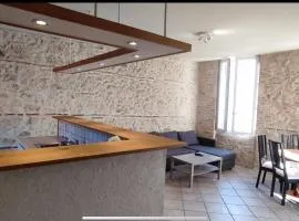 Appartement duplex spacieux en hypercentre avec garage privé