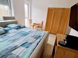 City Apartment in Herzen Herzo