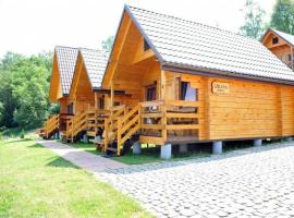Domki PIĘKNY WIDOK，位于索利纳的酒店
