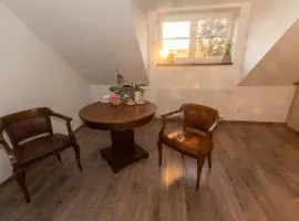 Stylish new "PLAYGROUND" flat with Bondage Cross & Private fitness in new family house