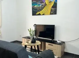 T2 - Cayenne spacious center