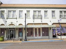 OYO Historic Cameron Hotel Brownsville I-69E, Hotel in Brownsville