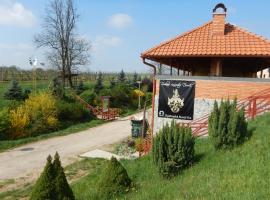 Penzión Rodinné Vinárstvo Ďurík, homestay in Opatovská Nová Ves