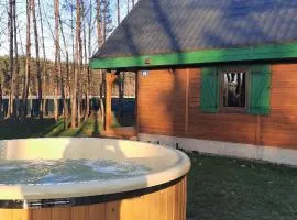 Domek na Mazurach w zagajniku przy jeziorze
