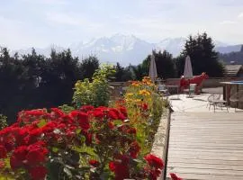 Chalet Les Rhodos
