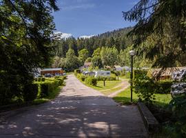 Tiny House - Cottages - Mobilhomes - Camping Les Granges Bas, хотел в Жерармер