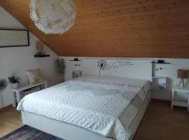 Ferienwohnung Monteurwohnung Pusteblume