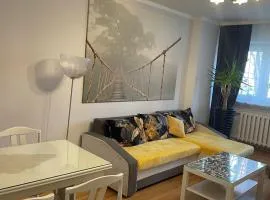 Apartament Dymińska
