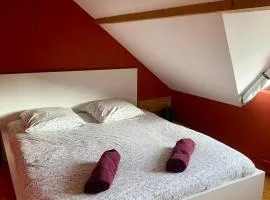 APPARTEMENT COSY 40 m2, climatisé, parking gratuit