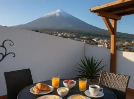Drago Hostel