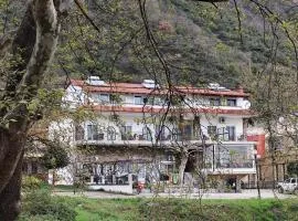 Drosia Hotel