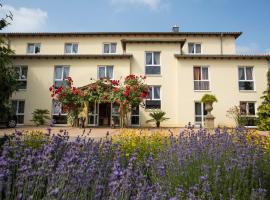 Mediterran Hotel Juwel, hotel v destinaci Karlstein am Main
