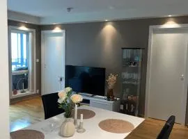 Centrally located apartment