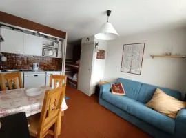 Studio skis aux pieds avec parking et animaux admis - FR-1-445-85