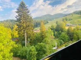 Apartament Widoknastok