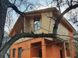 villa green garden borjomi