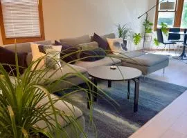 Scandinavian Retreat