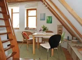 Studio with sleeping gallery