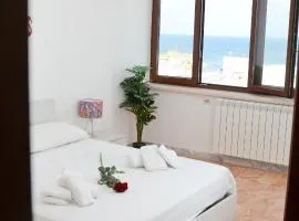 Tropical Paradise x AP Apartment