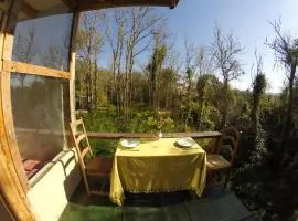 Hidden Forest Retreat