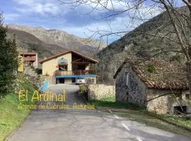 Apartamentos El Ardinal