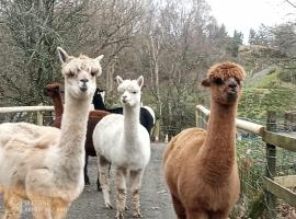 Shepherds hut on alpaca farm, hotel v destinaci Blaenau-Ffestiniog