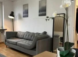 Convenient Apartment for 2
