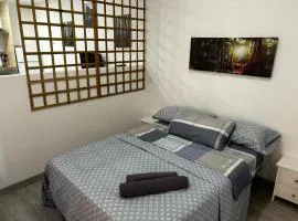 Apartamento estudio con baño privado en el centro de Madrid