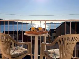 Sea View 100m to Beach Apartments Skoric Fanatic Primošten