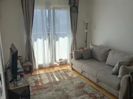 Ramonda apartman sa bazenom, Vrnjačka Banja