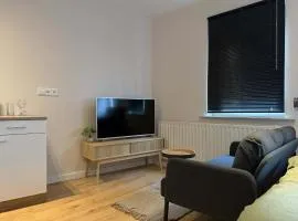 The Cozy Nest Stylish and Serene City Studio