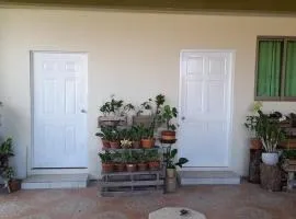 Michael's place
