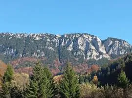 Casa Rania si Ayan Sătic Rucăr