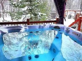 Chalet bord de l'eau avec spa