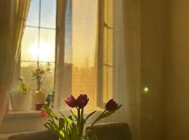ELAY Apartments