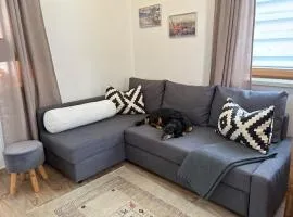 Cozy vacation apartment in Achensee, Tirol Austria