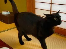 民宿とランチ大ちゃんち