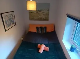 Cosy Garden Flat near Bay & City Centre - Fast Wifi, 5 mins to centre