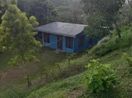 Casa Vera Icon