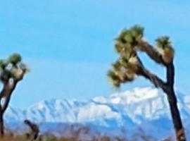 The Yurt at Tribal Camp: Joshua Tree şehrinde bir &ccedil;adırlı kamp alanı