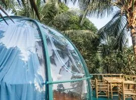 Leela Garden Resort Bubble house