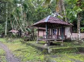 OYO 93638 Lotus Guest House