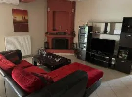 Urban Serenity Apartment