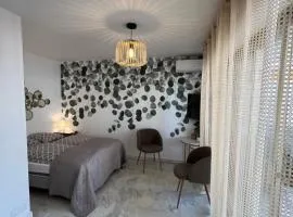 Studio Cannes Californie