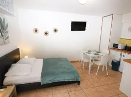 Grand studio 5 pour 2 a 4 p