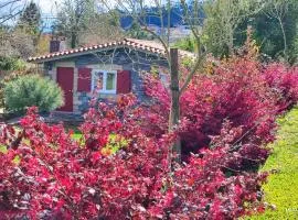 Guest House - Quinta da Giesteira quiet Country House with private outdoor spa in Penafiel, Oporto