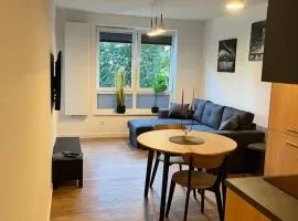 Apartament Julia 1-4 os Starowapiennikowa 42a z balkonem, klimatyzacją i miejscem parkingowym